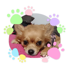 kaori_20220106005743