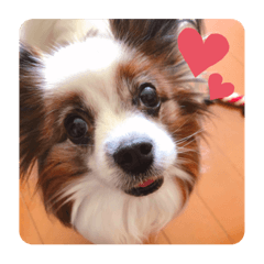 YUKA_20220106231758