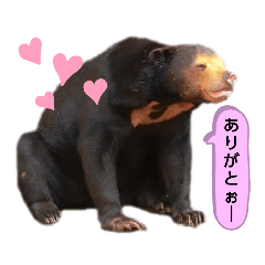 chie_20220107000407