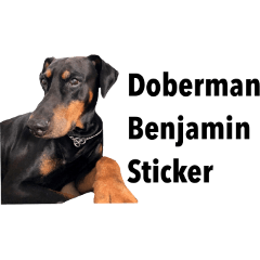 Doberman Benjamin