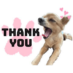 Kokolove_20220107102448