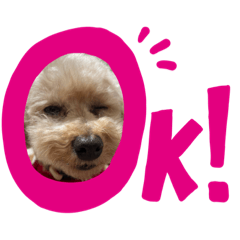 yamada_20220106224827