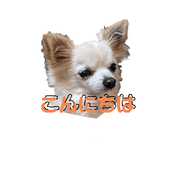 kuu_20220106224609