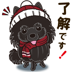 Black Pomeranian Winter