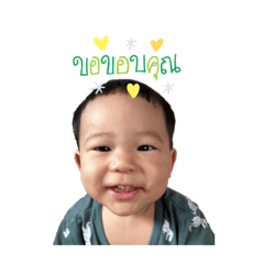 Lee's Little sharky 1