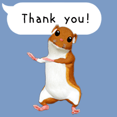 Animated Hamster English