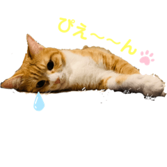 naho_20220107101500