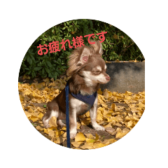 junko_20220107133357