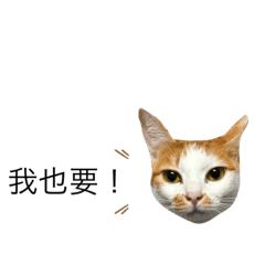 哈哈閃電大頭貼