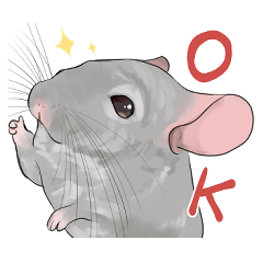 Chinchilla Stickers for Everyday