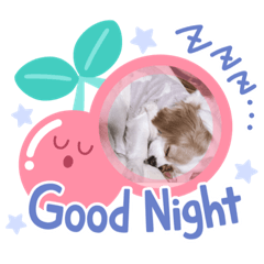 mizuki_20220107133852