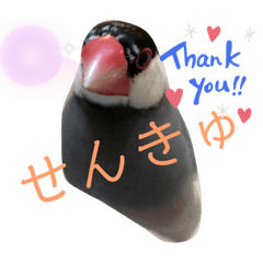 koumaru_20220107160142