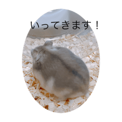 RK_20220107162916