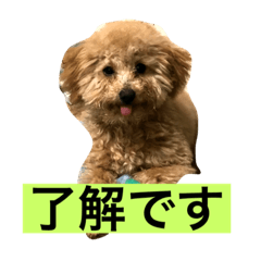 hana_20220107170117