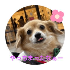 akiko_20220107203300