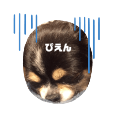 mizuki_20220107235803