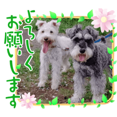 naho_20220108010619