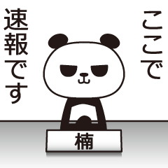 The Kusunoki panda