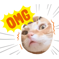 過度情緒化ㄉ辛巴