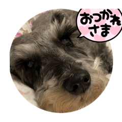 kuu_20220108104811