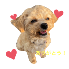 omochi_20220107234645