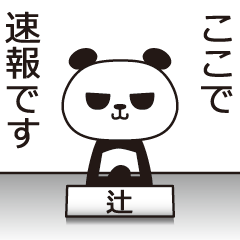 The Tsuji panda