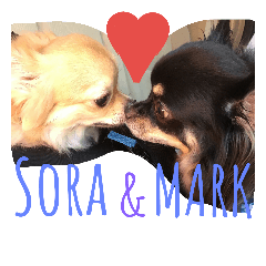 Mark&Sora.Brothers