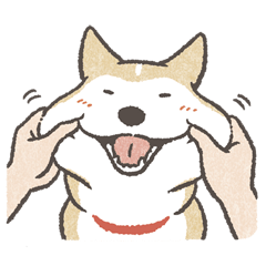 Shiba Inu (Shiba-Dog) stickers -vol.3 jp