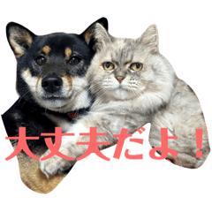Riho_20220107223450