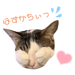 saya_20220107213647