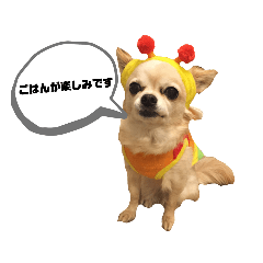 yuka_20220108013516