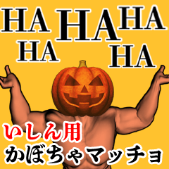 Ishin Pumpkin macho