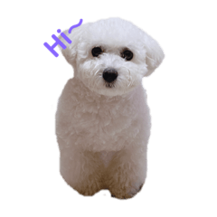 可愛到不行的寶貝