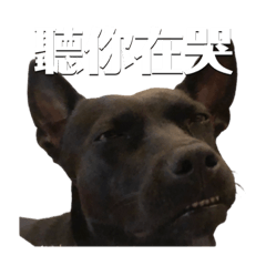 睡飽飽你好像很嗆喔