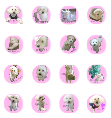 coro's stamp*