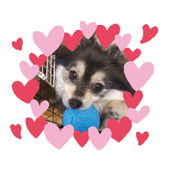 MATSU_20220108114454