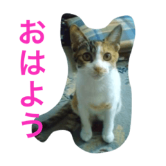 akiko_20220108141051