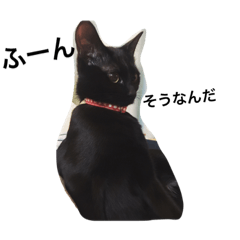 monochrome 3 cats stamp vol.2!