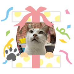 老街溪躲貓貓❤️