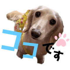 sayuri_20220108183901