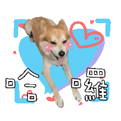 逢甲&逢甲咩