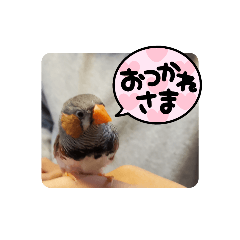 MATSU_20220108220948