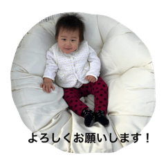 aochhichi