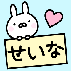 Cute Rabbit "Seina"