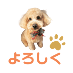 Ron_20220109093907 – LINE stickers | LINE STORE