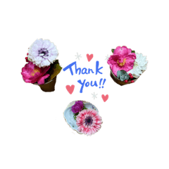 Daily Flower Messages