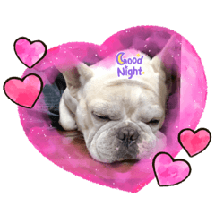 大家好我是法鬥憨吉