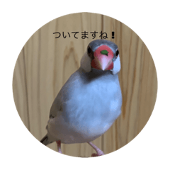 ai_20220109133825