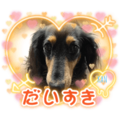 RISA_20220109154059
