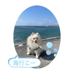 ai_20220109160802